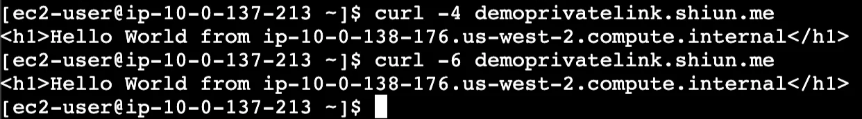 [Consumer] The responses from curl -4 and curl -6 were observed in the consumer&rsquo;s private instance