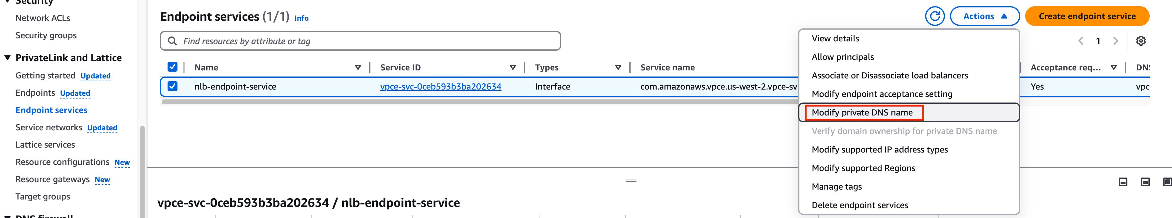 [Provider] Modify private DNS name