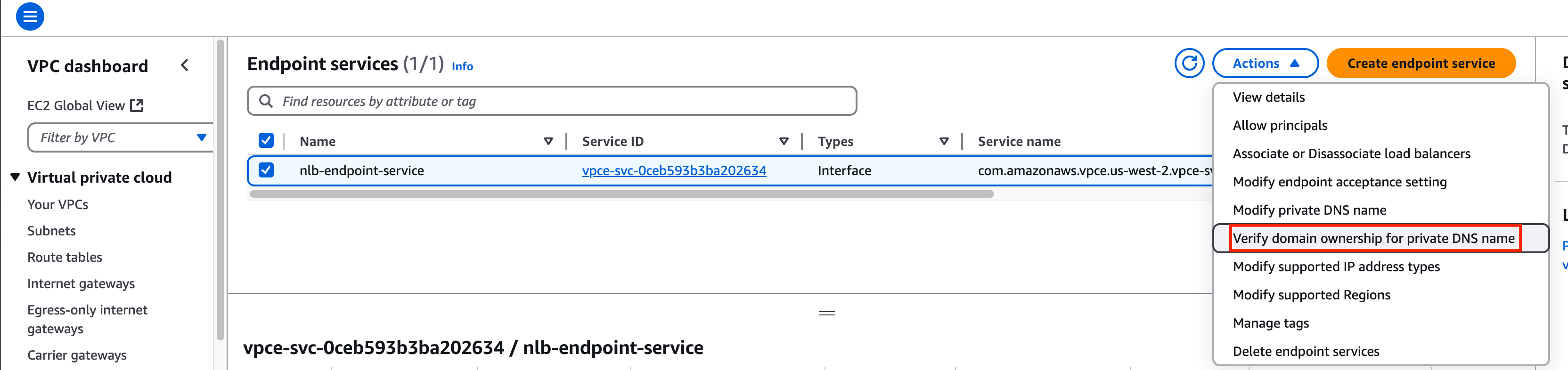 [Provider] Verify domain ownership for private DNS name