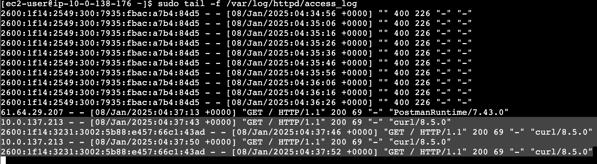 [Provider] The Httpd access log from the Target instance