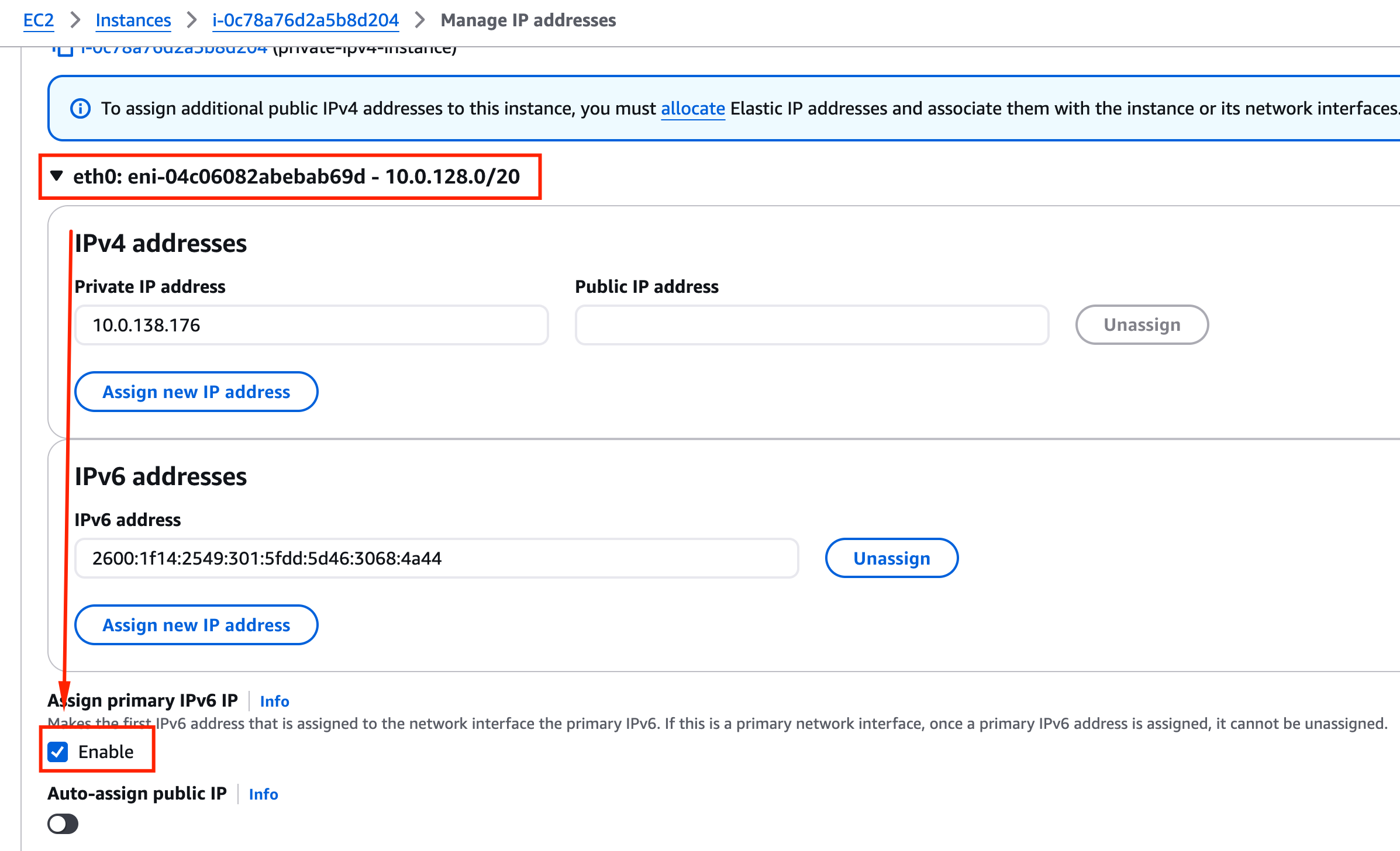 Enable Assign primary IPv6 IP